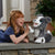 Furreal Friends Ricky Mi Perrito Listo Hasbro
