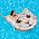 Colchoneta Hinchable Intex Gato (147 X 134 cm)