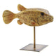 Figura Decorativa Dekodonia Metal Resina Pez (24 x 10 x 21 cm)