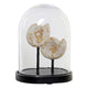 Figura Decorativa Dekodonia Resina Cristal Acero (21 x 16 x 28 cm)