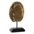 Escultura Dekodonia Caparazón Dorado (21 x 9 x 30 cm)