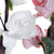 Flor Decorativa Dekodonia Rosa EVA (Etilvinilacetato) (2 pcs) (15 x 124 cm)