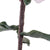 Flor Decorativa Dekodonia Rosa EVA (Etilvinilacetato) (2 pcs) (15 x 124 cm)