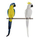 Figura Decorativa Dekodonia Pluma (22 x 16 x 60 cm) (2 pcs)