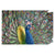 Escultura Dekodonia Pavo real Verde Resina (40 x 14 x 34 cm)