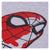 Conjunto de Ropa Spiderman Gris