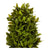 Planta Decorativa Ibergarden (20 x 33 x 20 cm)