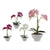 Maceta Ibergarden (28 x 50 x 16 cm) Blanco