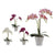 Maceta Ibergarden (17 x 48 x 34	 cm) Blanco