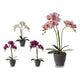 Maceta Ibergarden Gris (17 x 48 x 34	 cm)