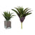 Planta Decorativa Ibergarden (25 x 27 x 25 cm)