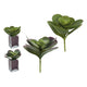 Planta Decorativa Ibergarden (18 x 20 x 18 cm)