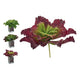 Planta Decorativa Ibergarden (31 x 24 x 31 cm)