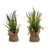 Planta Decorativa (12 x 39 x 12	 cm)