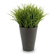 Planta Decorativa Ibergarden (9 x 18 x 9 cm) Plástico