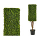 Planta Decorativa Hedge Plástico