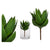 Planta Decorativa Aloe Vera (14 x 23 x 14 cm)