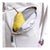 Mochila Escolar Minnie Mouse Gris claro (30 x 13 x 44 cm)